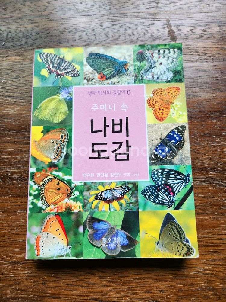 주머니 속 나비 도감--0