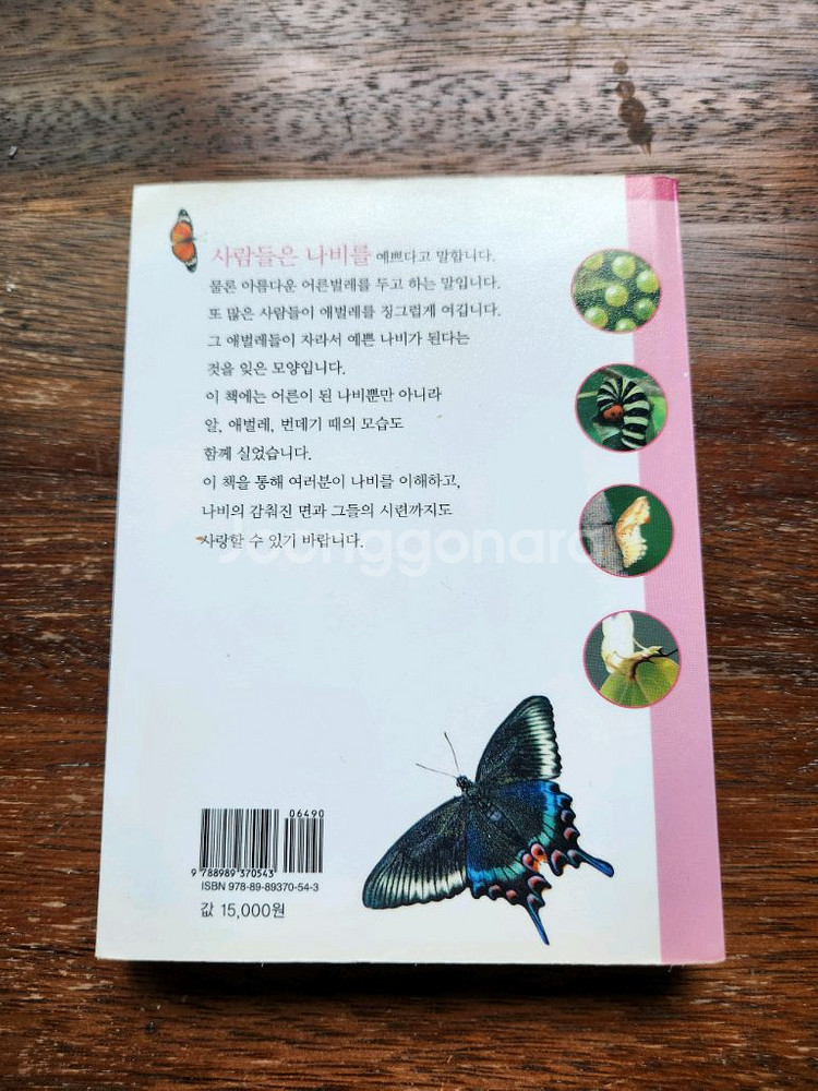 주머니 속 나비 도감--1