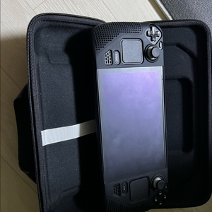 스팀덱 1tb lcd