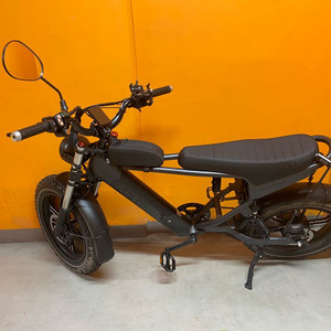 전기자전거 자토바이 48v 1000W 30A