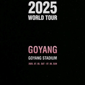 블랙핑크 콘서트 2연석 양도