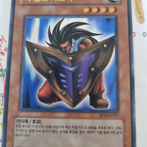유희왕 빅 실드 가드너 등 판매합니다