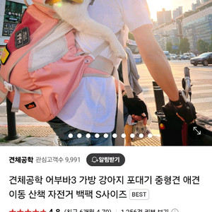 견제공학 어부바3 L 핑크