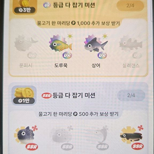 문피시 상어