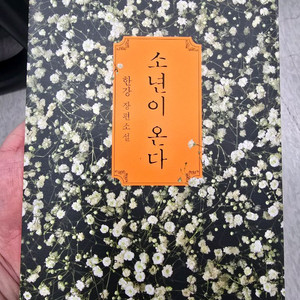 한강 소년이 온다 무료배송