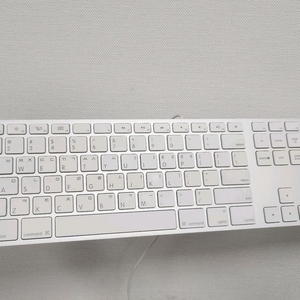 애플 유선 키보드(A1243)