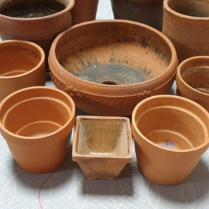 통분모응