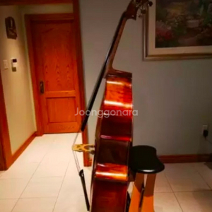 콘트라베이스 스탠드 의자 수입