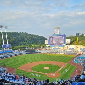 삼성 라이온즈7/6블루존 양도 해주실분