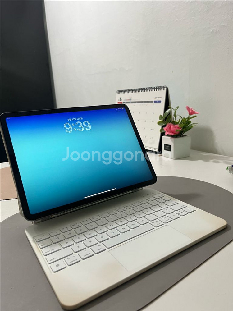 (급처) 아이패드 프로 11 2세대 셀룰러 128gb--0