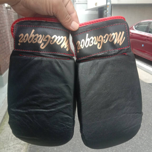 복싱 색드백 글러브 사이즈 12oz