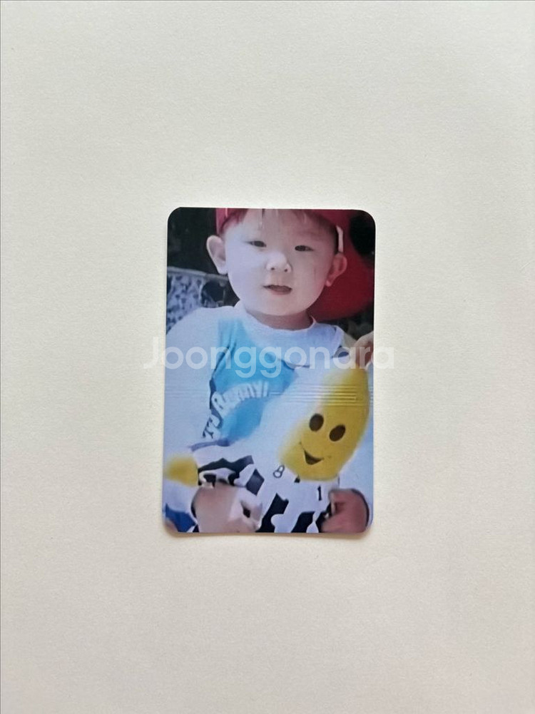 세븐틴 세미콜론 앨범 아기포카 우지 우지 포카 10주년--0