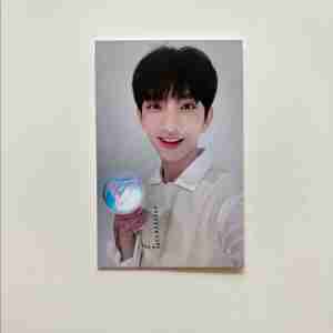 세븐틴 캐럿랜드 조슈아 캐럿존 포카 희귀매물 조슈아포카