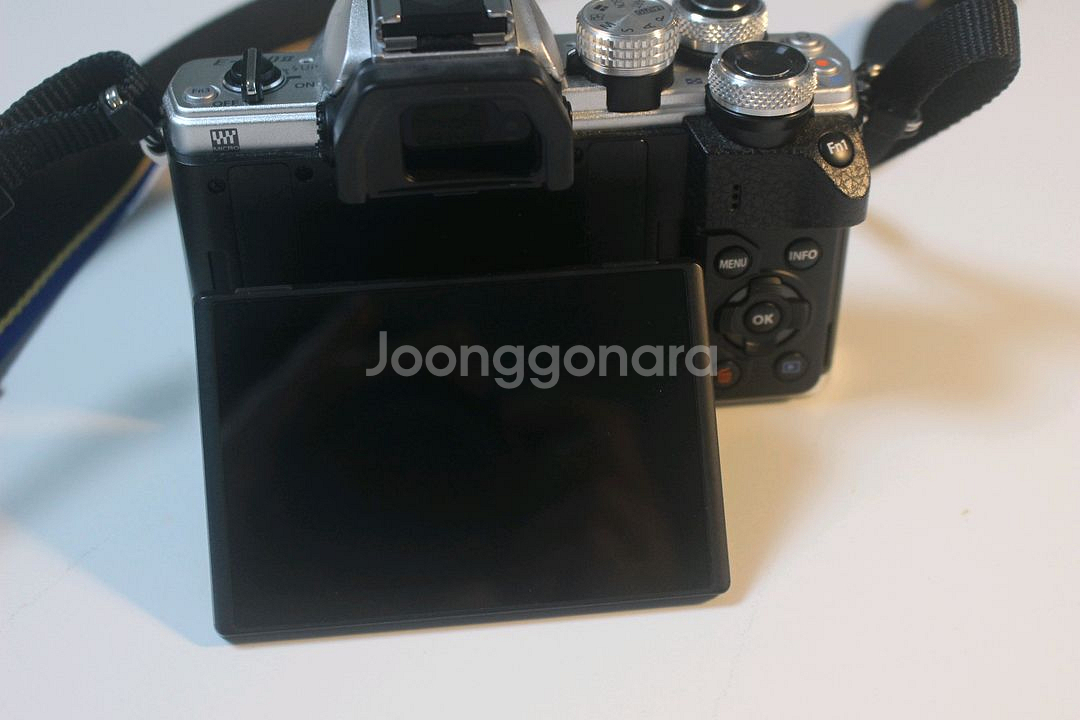올림푸스 omd e-m10 mark2--3