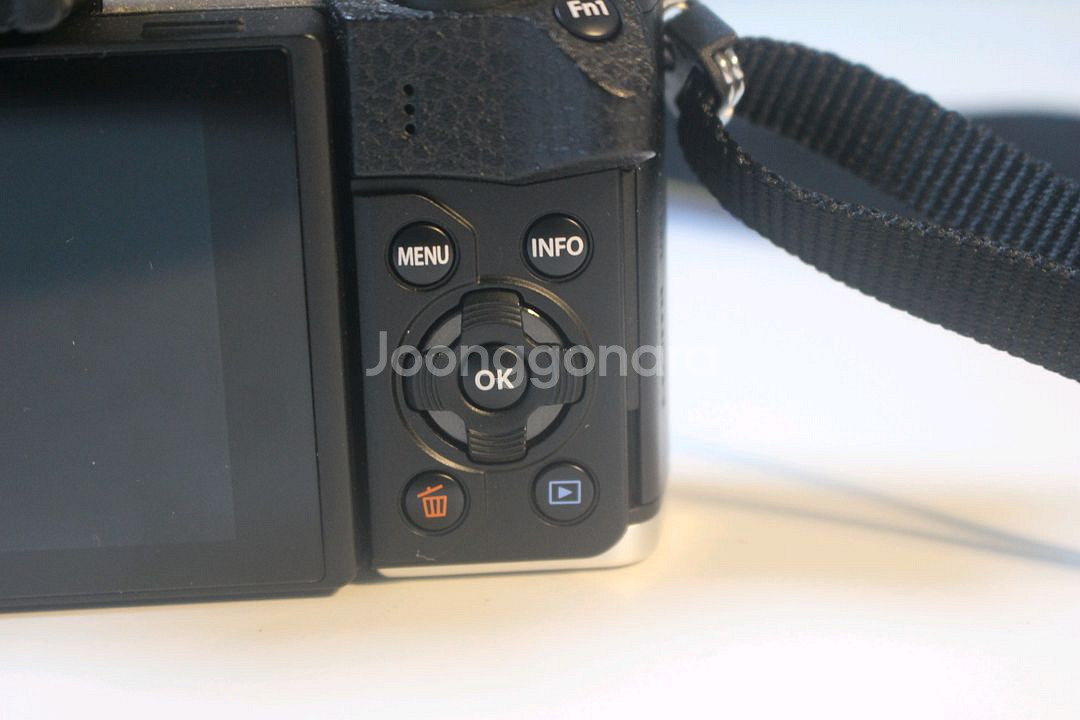 올림푸스 omd e-m10 mark2--4