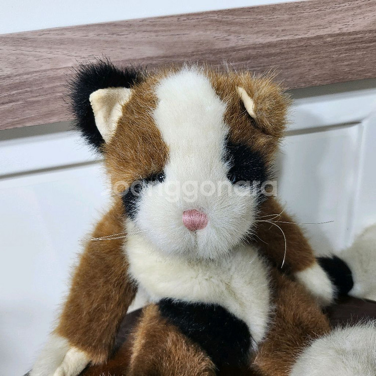 보이즈베어 미묘 삼색 고양이 빈티지 인형 키덜트--3