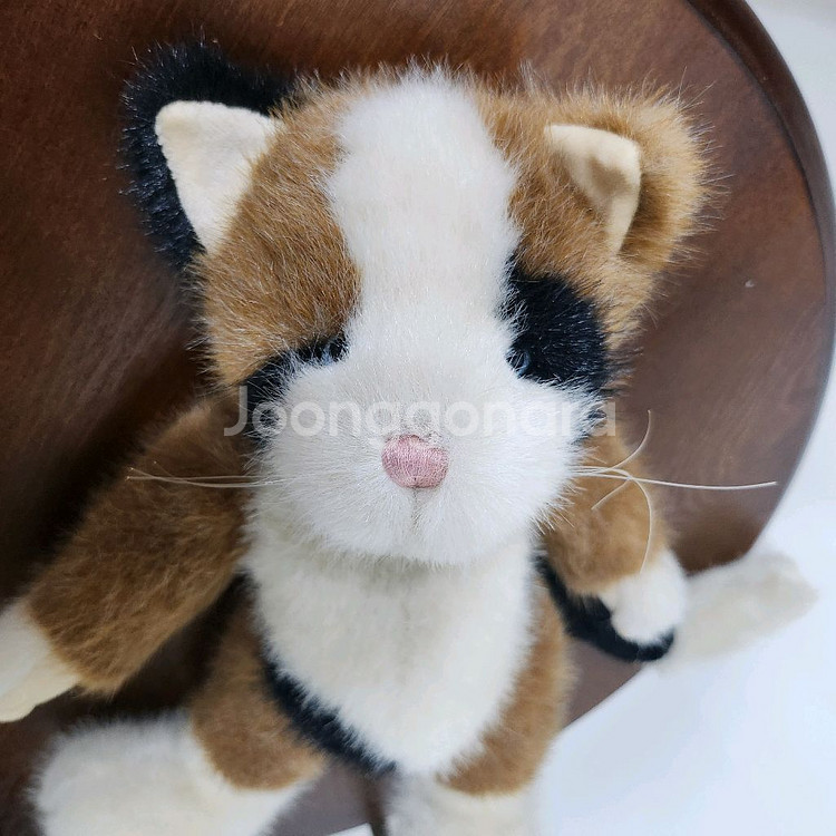 보이즈베어 미묘 삼색 고양이 빈티지 인형 키덜트--5