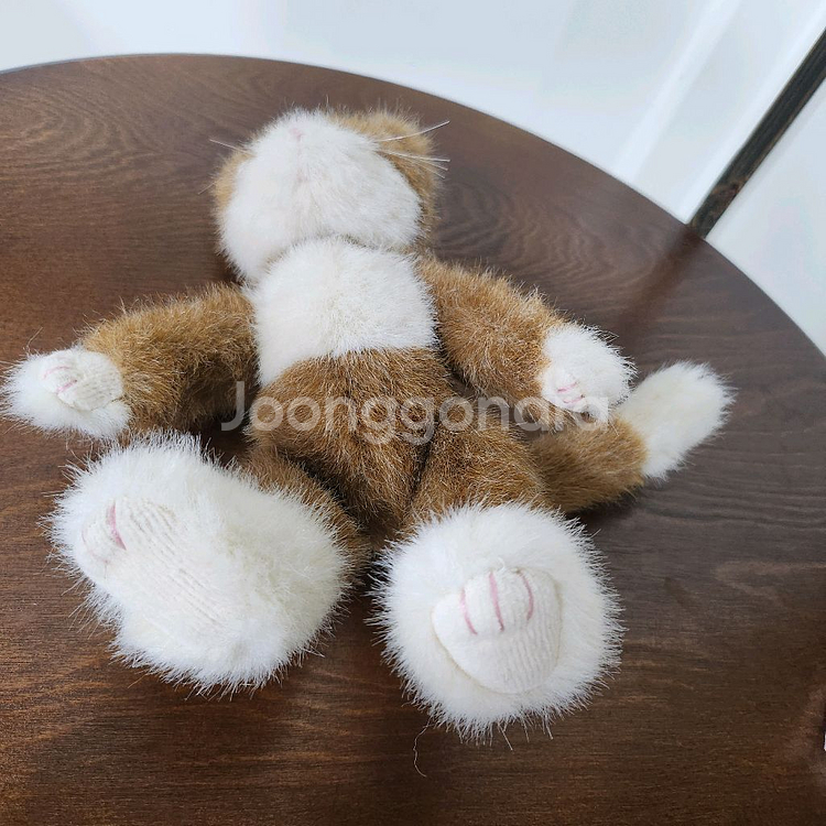 보이즈베어 미모 갈색 고양이 빈티지 인형 키덜트--1