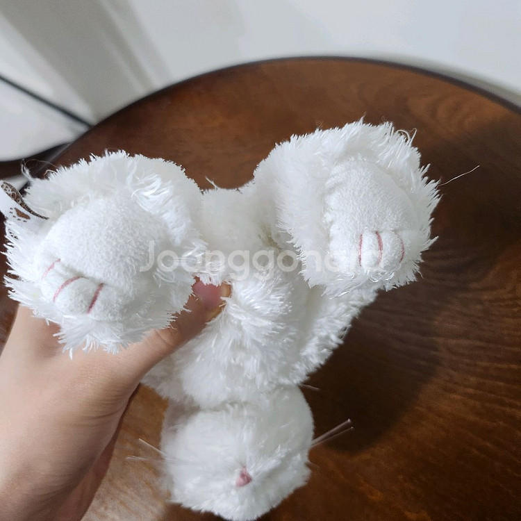 보이즈베어 레어 뽀글 흰 고양이 빈티지 인형 키덜트--4