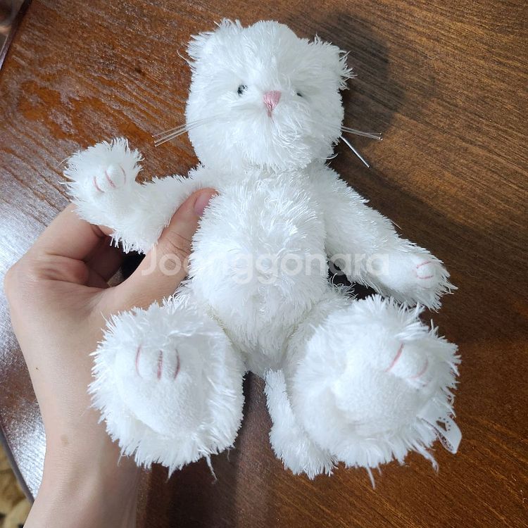 보이즈베어 레어 뽀글 흰 고양이 빈티지 인형 키덜트--5