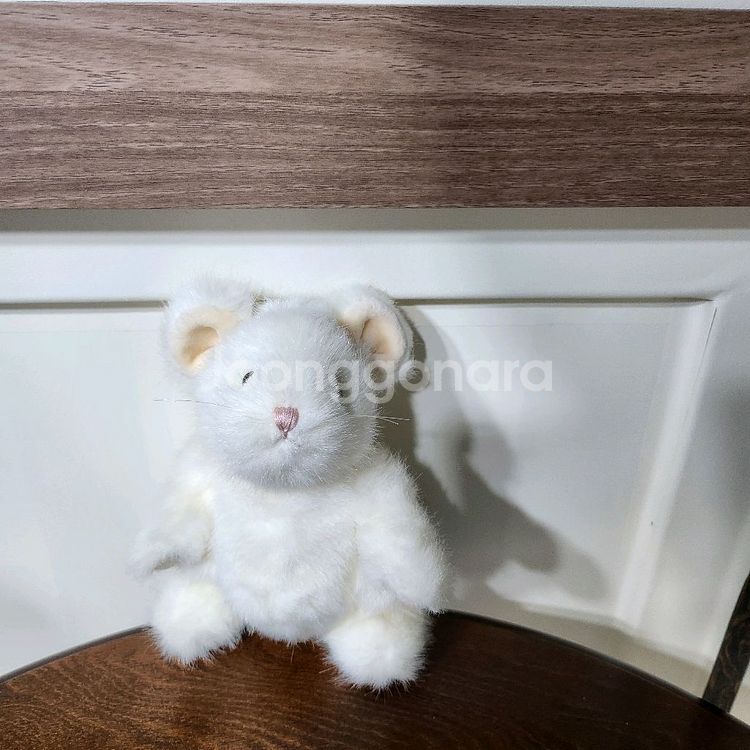 보이즈베어 레어 미모 흰 쥐 빈티지 인형 키덜트--0