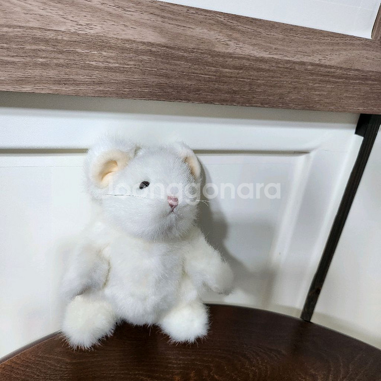 보이즈베어 레어 미모 흰 쥐 빈티지 인형 키덜트--2