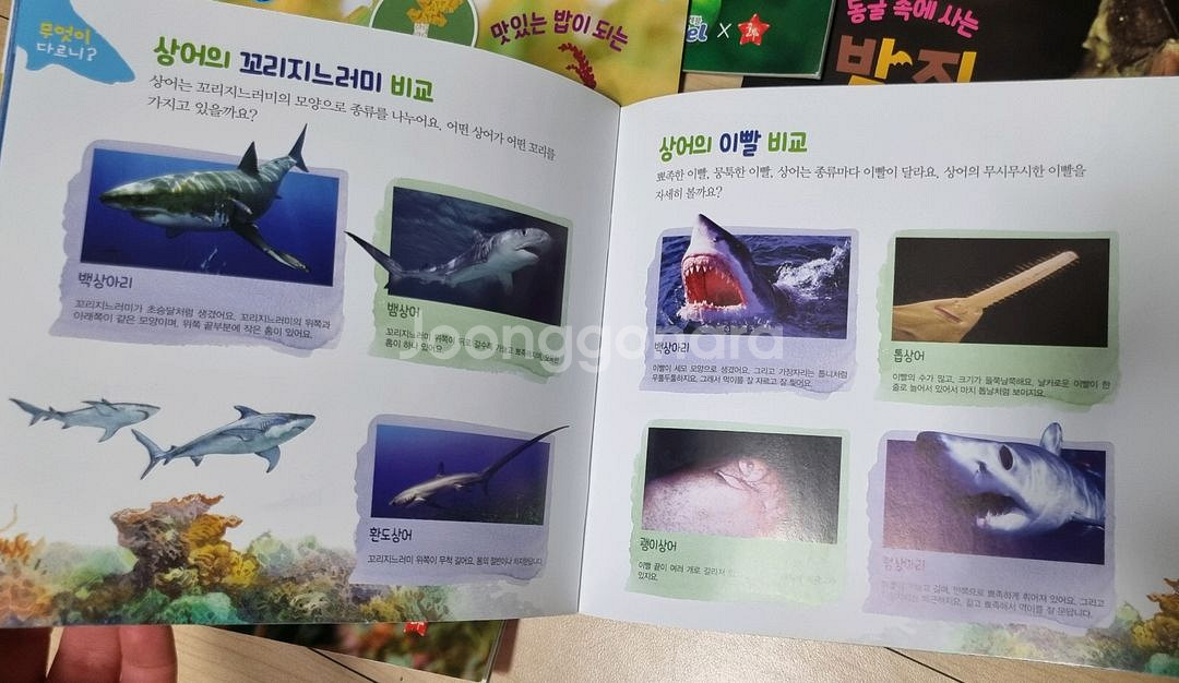 (미개봉)창의 블럭 / 어린이교구 / 두뇌발달 놀이--8