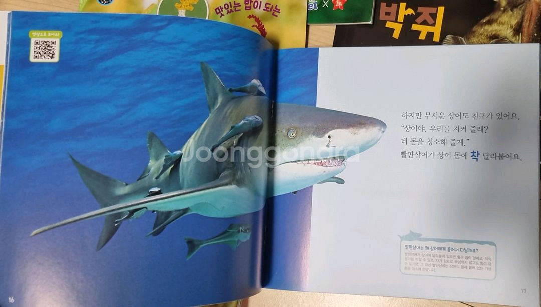 (미개봉)창의 블럭 / 어린이교구 / 두뇌발달 놀이--7