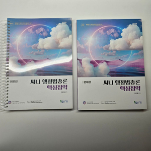 25 써니 행정법 핵심집약, 선재 수비니겨 논리