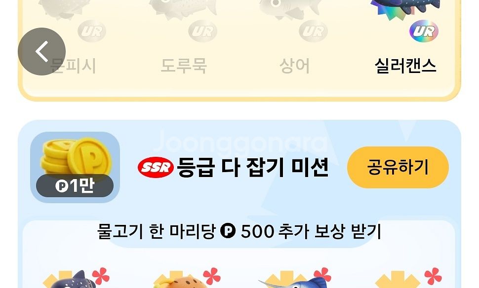 틱톡 문피시 도루묵 상어 삽니다--0
