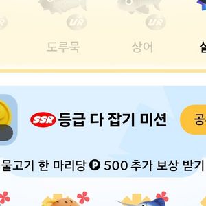 틱톡 문피시 도루묵 상어 삽니다