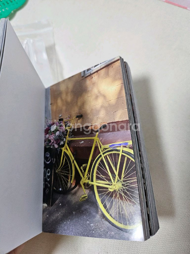 다꾸 일괄--9