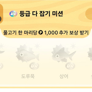 (구매)틱톡라이트 UR 물고기 미션 삽니다.