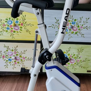 HEAD 접이식 실내 자전거