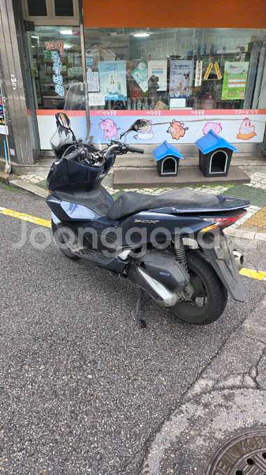 혼다 PCX125--5