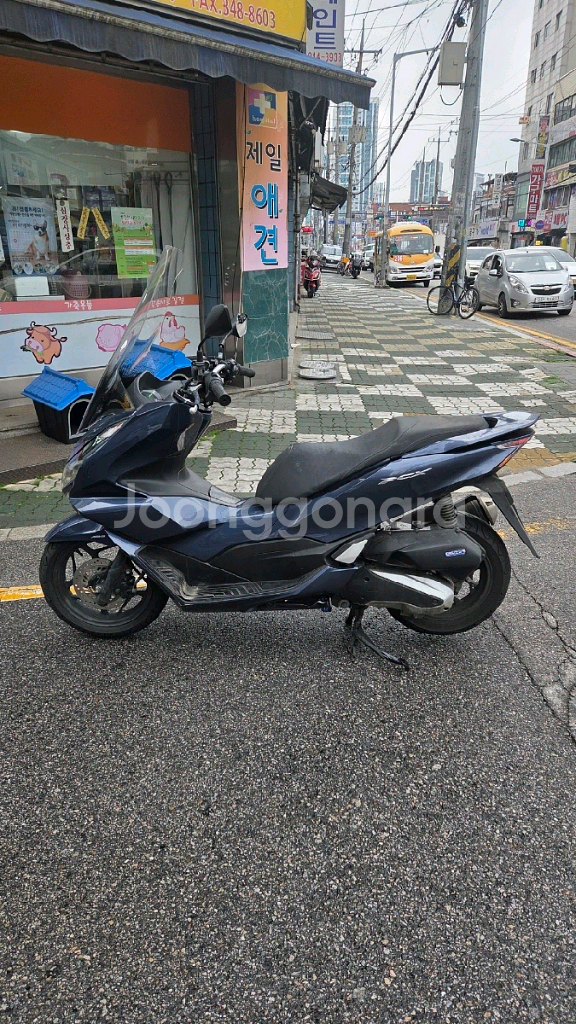 혼다 PCX125--6