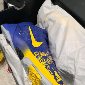 나이키 코비 프로트로 5 Nike Kobe V
