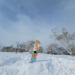 파우더 데크 160 winter swell