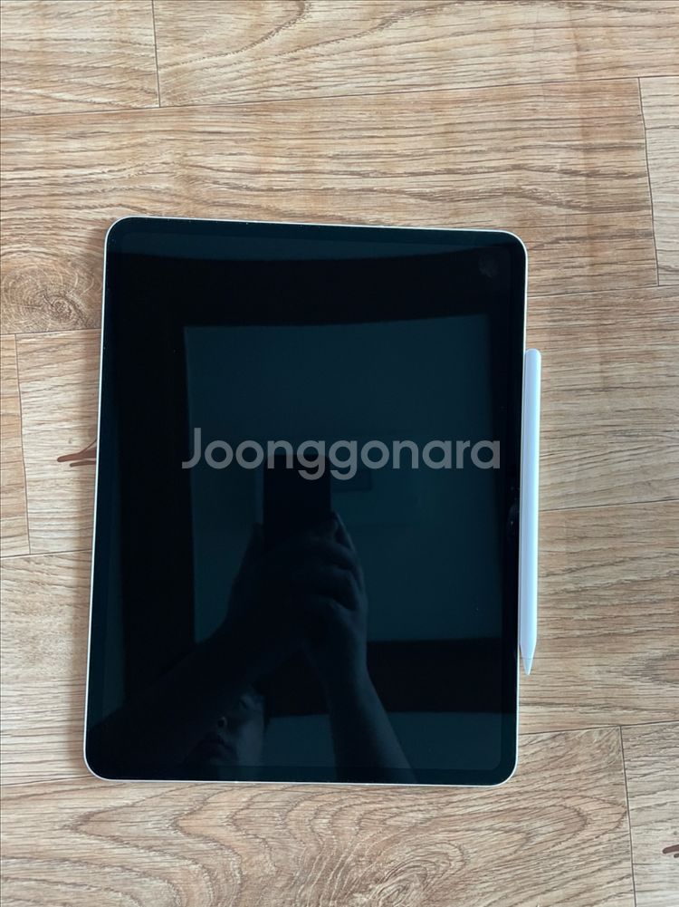 아이패드 프로 m4 13인치 256GB, 셀룰러, 펜슬--0