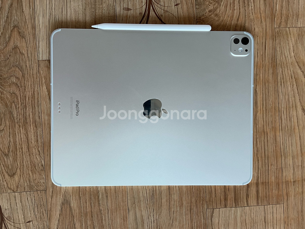 아이패드 프로 m4 13인치 256GB, 셀룰러, 펜슬--1