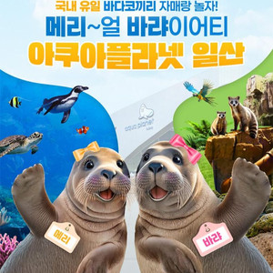 일산 아쿠아플라넷 종일권
