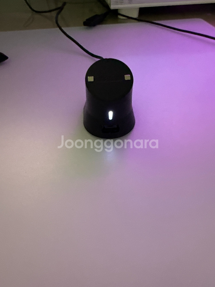 지슈라2+충전독--6