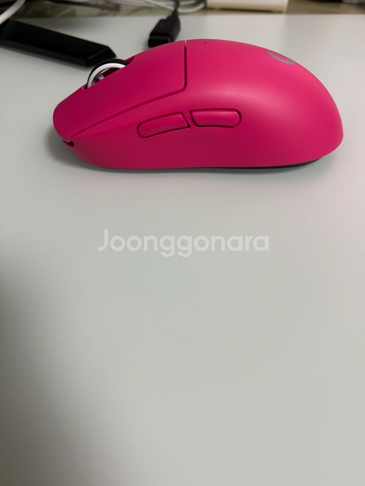 지슈라2+충전독--2