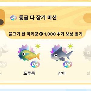 문피시,실러캔스 개당 2만5천원에 구입합니다!