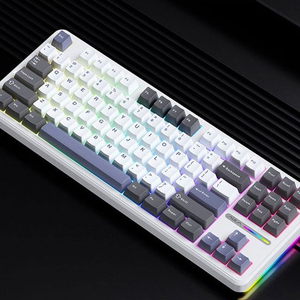 새상품) Aula F87 Pro 독거미키보드황축(