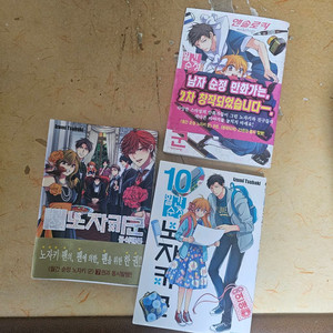 월간순정 노자키군 10권, 앤솔로지 공식팬북