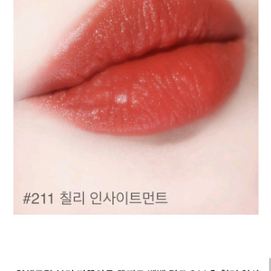 따뚜아쥬 벨벳 틴트 211호