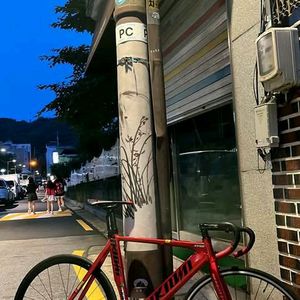 언노운 싱귤2 22년식 급처