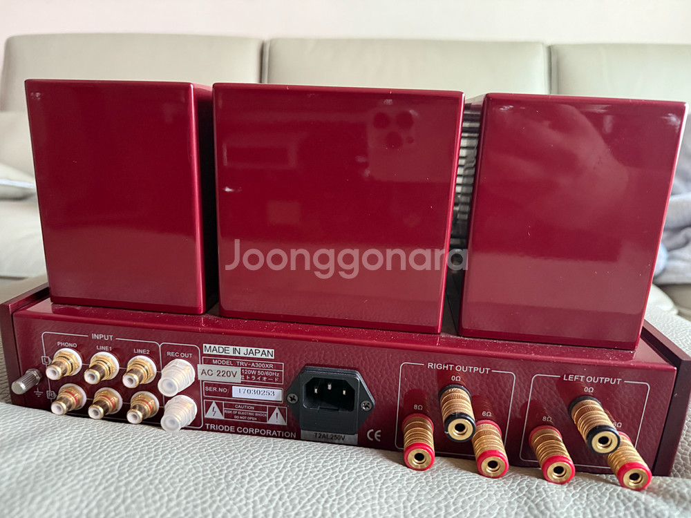 Triode TRV-A300xr--2