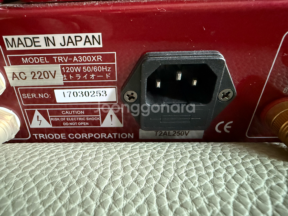 Triode TRV-A300xr--4